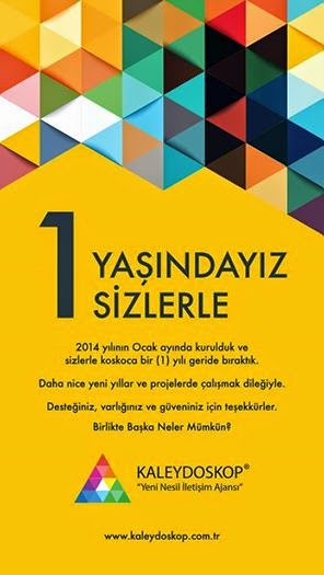 Sarı Koca Bir Yıl 2015